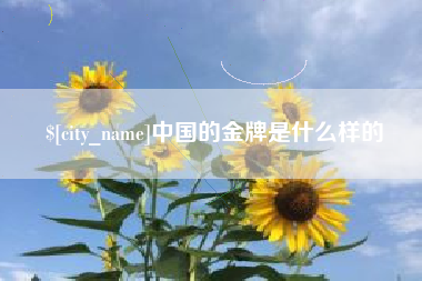 平湖中国的金牌是什么样的