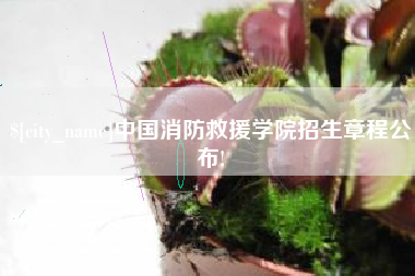 平湖中国消防救援学院招生章程公布!