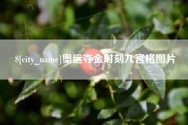平湖奥运夺金时刻九宫格图片