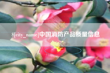 平湖中国消防产品质量信息