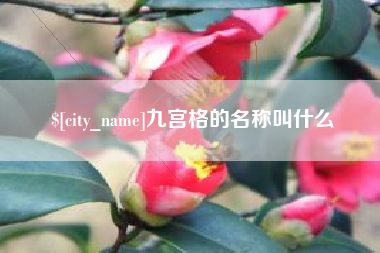 平湖九宫格的名称叫什么