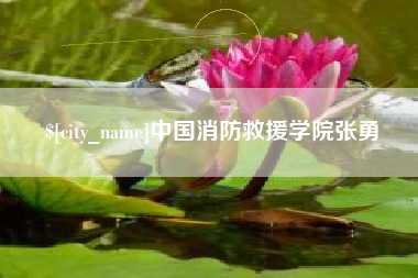 平湖中国消防救援学院张勇