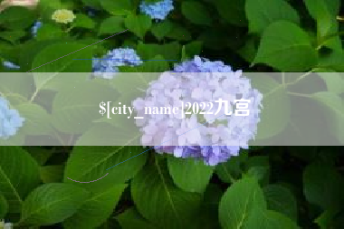 平湖2022九宫