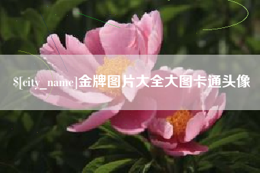 平湖金牌图片大全大图卡通头像