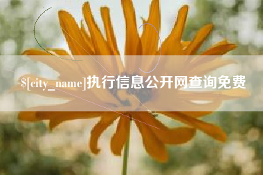 平湖执行信息公开网查询免费