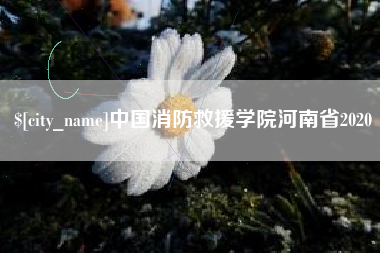 平湖中国消防救援学院河南省2020